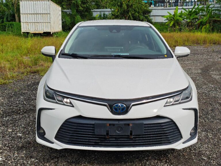 77e789a9-e9ea-4f19-89da-5f899440a465