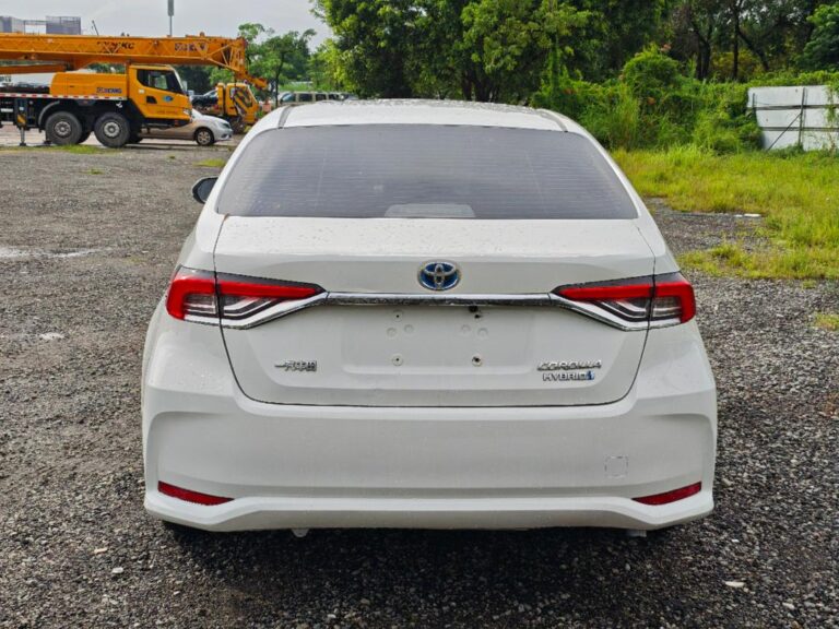 ac7d9341-5bf4-49c7-baf4-36e2573eb77c