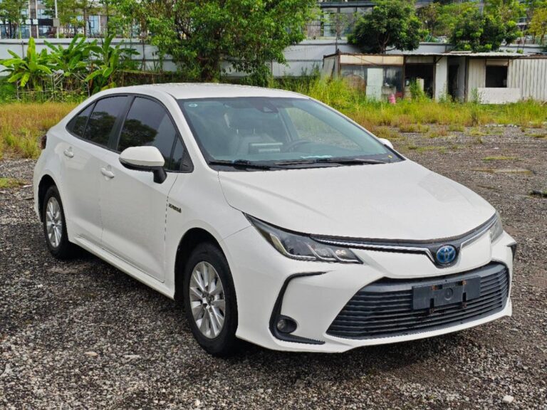 d983b236-8677-426b-b31f-47e7a2a5fdcc